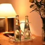 Restaurant Krokodil 3*