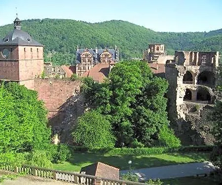 Restaurant Krokodil Otel Heidelberg